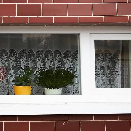 Apartman Hela *